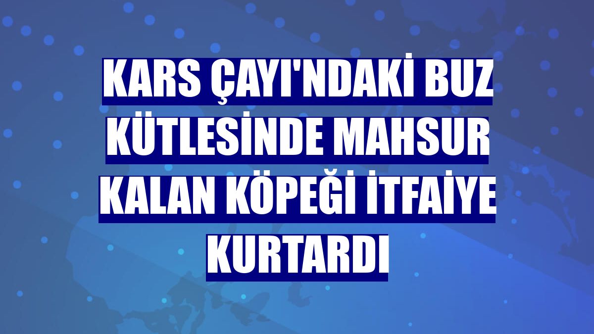 Kars Çayı'ndaki buz kütlesinde mahsur kalan köpeği itfaiye kurtardı