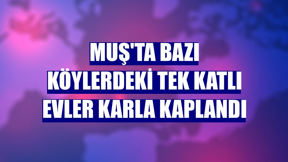 Muş'ta bazı köylerdeki tek katlı evler karla kaplandı