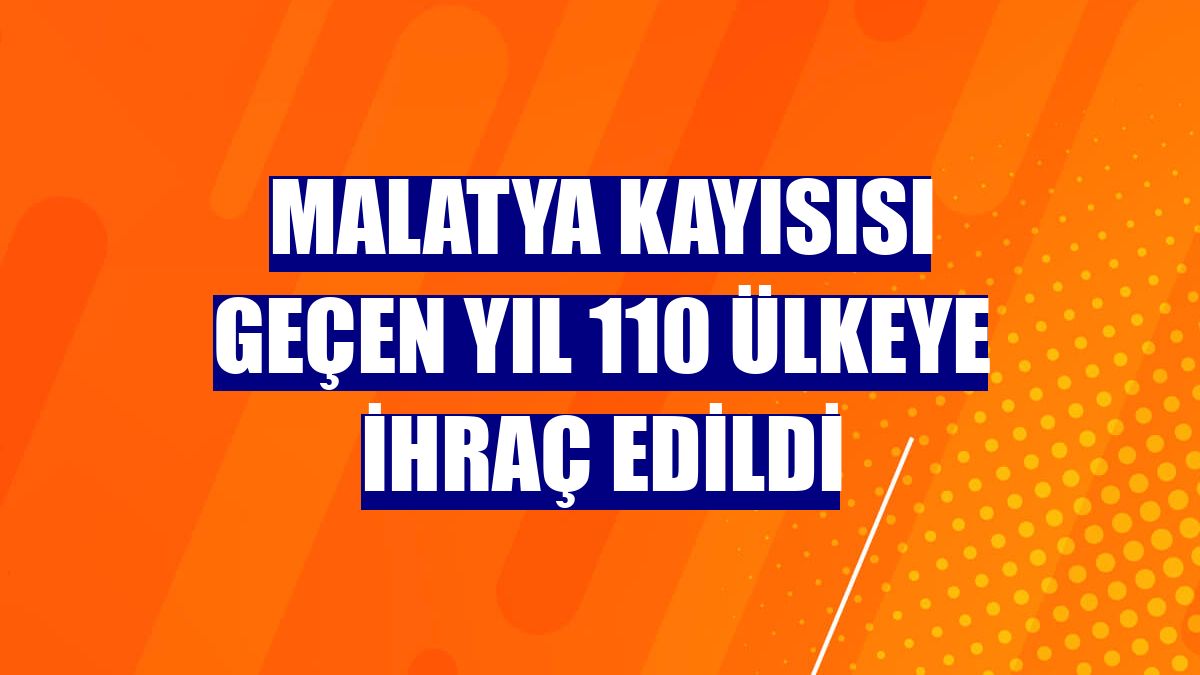 Malatya kayısısı geçen yıl 110 ülkeye ihraç edildi