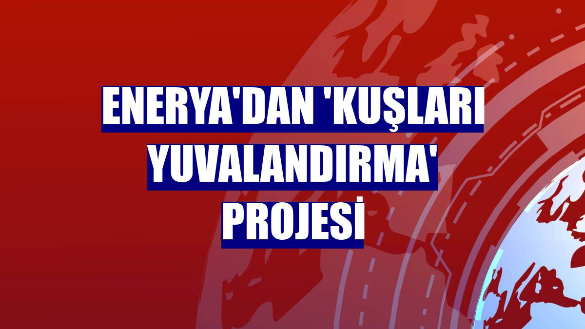 Enerya'dan 'Kuşları Yuvalandırma' projesi