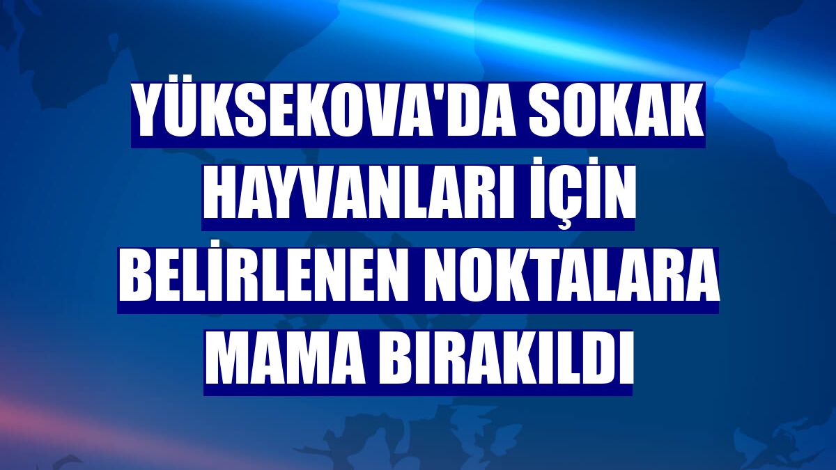 Yüksekova'da sokak hayvanları için belirlenen noktalara mama bırakıldı