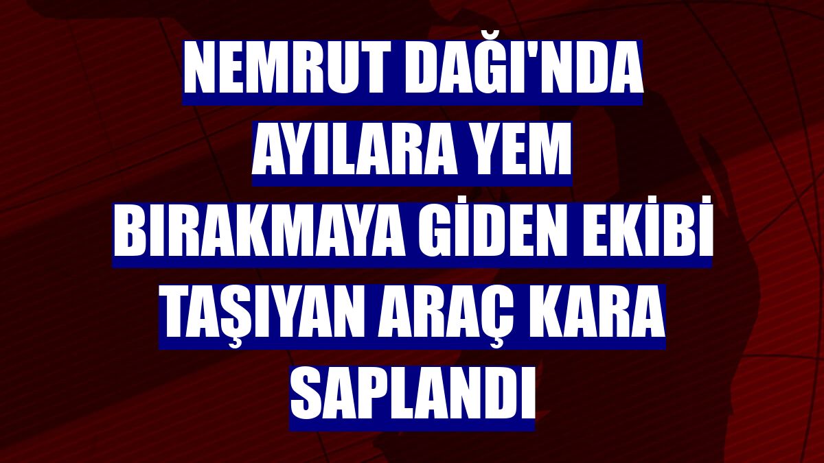 Nemrut Dağı'nda ayılara yem bırakmaya giden ekibi taşıyan araç kara saplandı