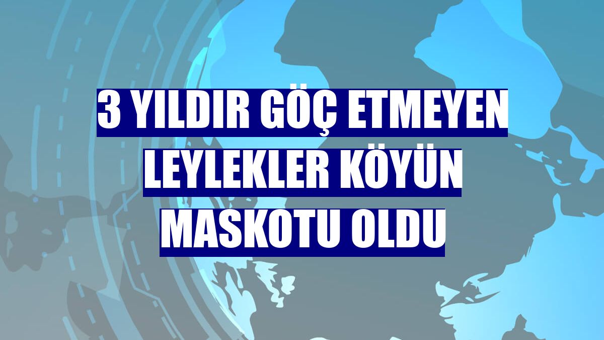3 yıldır göç etmeyen leylekler köyün maskotu oldu