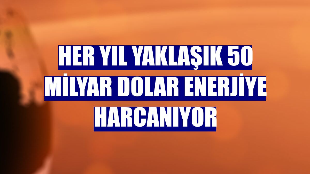Her yıl yaklaşık 50 milyar dolar enerjiye harcanıyor