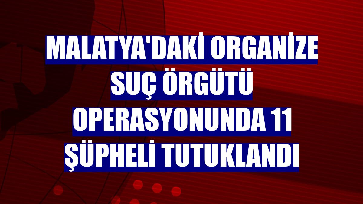 Malatya'daki organize suç örgütü operasyonunda 11 şüpheli tutuklandı