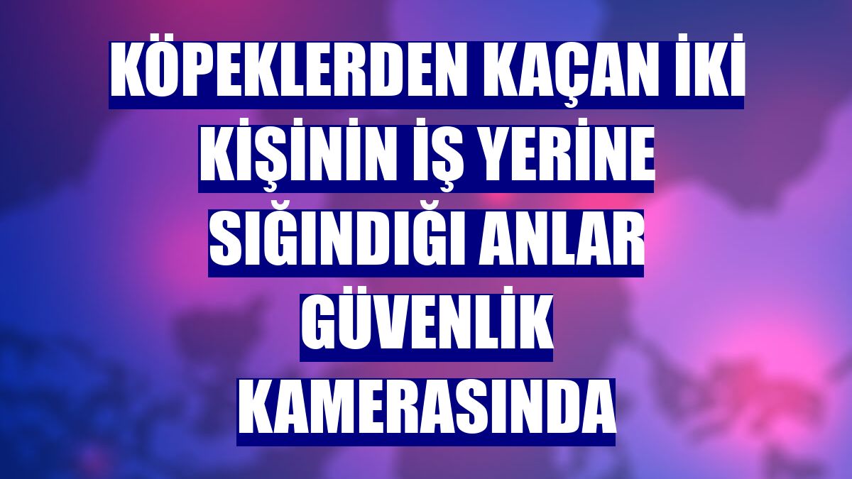 Köpeklerden kaçan iki kişinin iş yerine sığındığı anlar güvenlik kamerasında