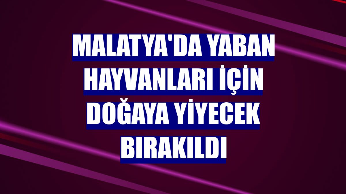Malatya'da yaban hayvanları için doğaya yiyecek bırakıldı