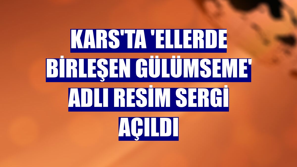 Kars'ta 'Ellerde Birleşen Gülümseme' adlı resim sergi açıldı