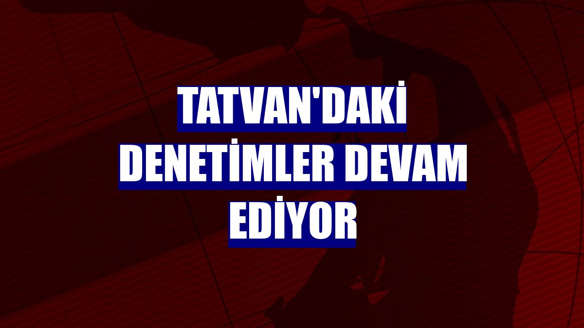 Tatvan'daki denetimler devam ediyor