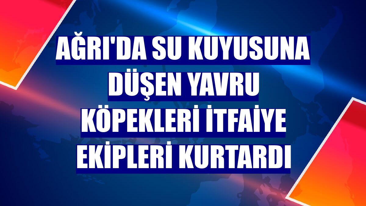 Ağrı'da su kuyusuna düşen yavru köpekleri itfaiye ekipleri kurtardı
