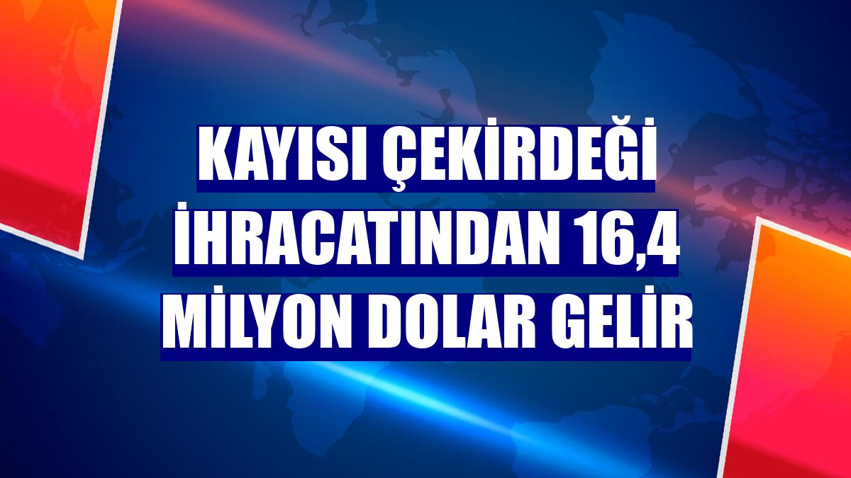 Kayısı çekirdeği ihracatından 16,4 milyon dolar gelir