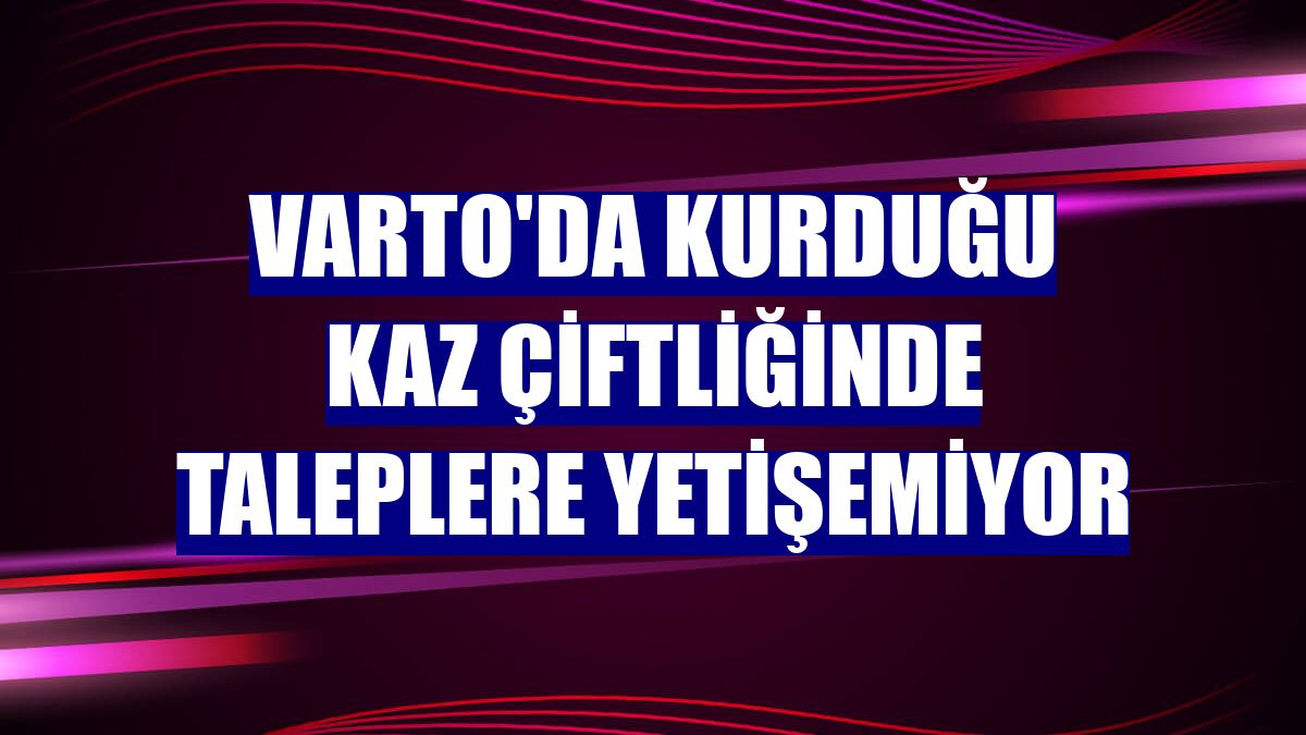 Varto'da kurduğu kaz çiftliğinde taleplere yetişemiyor