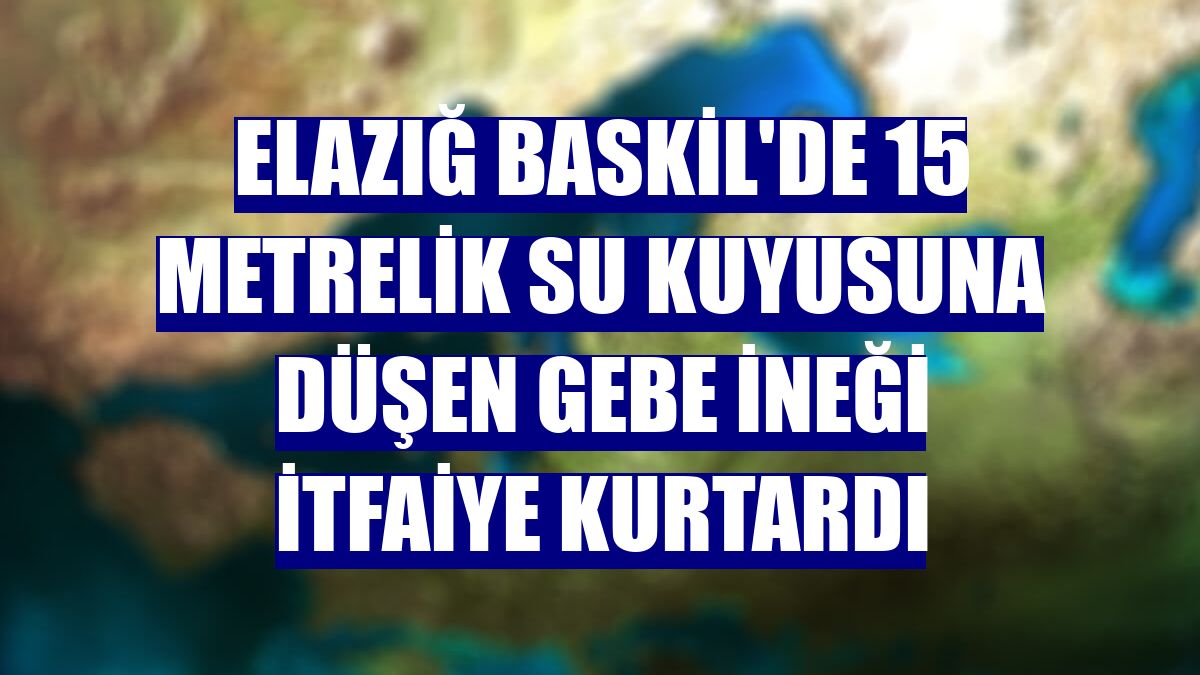Elazığ Baskil'de 15 metrelik su kuyusuna düşen gebe ineği itfaiye kurtardı