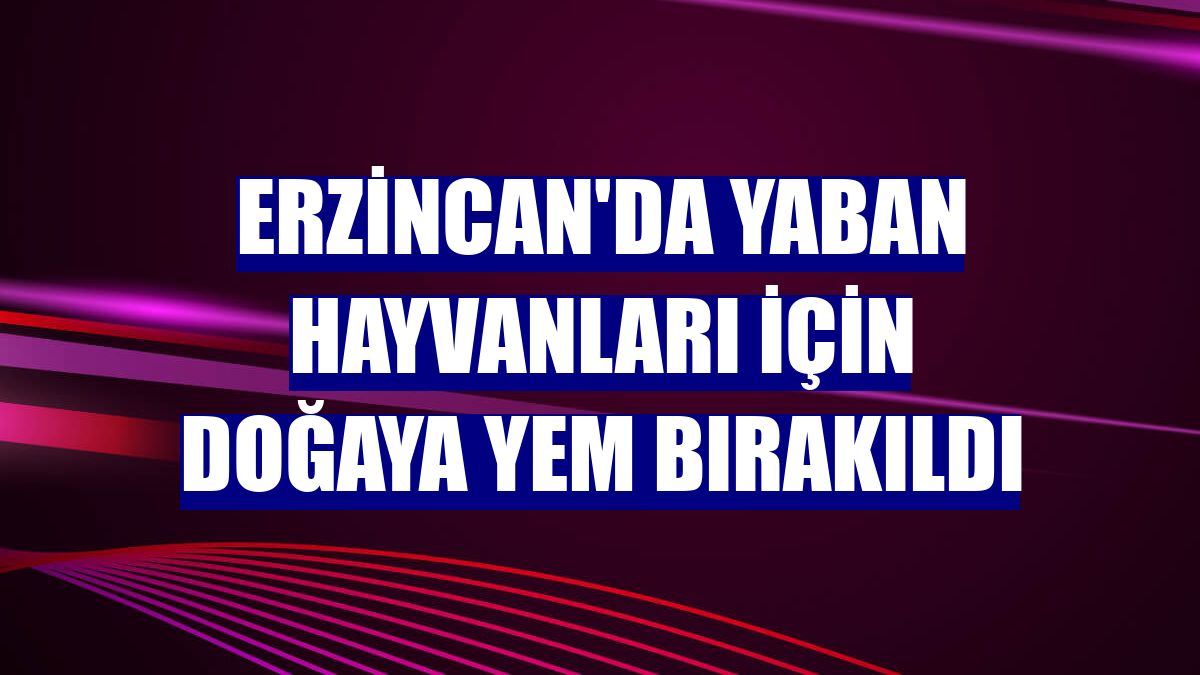 Erzincan'da yaban hayvanları için doğaya yem bırakıldı