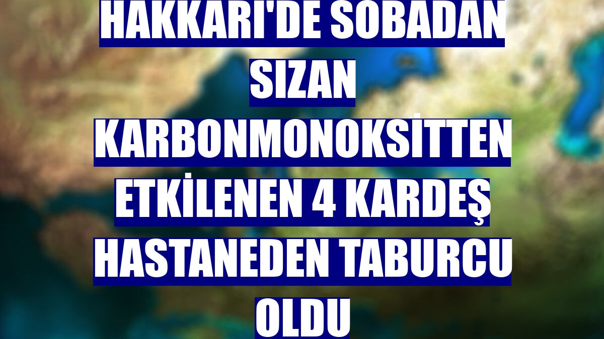 Hakkari'de sobadan sızan karbonmonoksitten etkilenen 4 kardeş hastaneden taburcu oldu