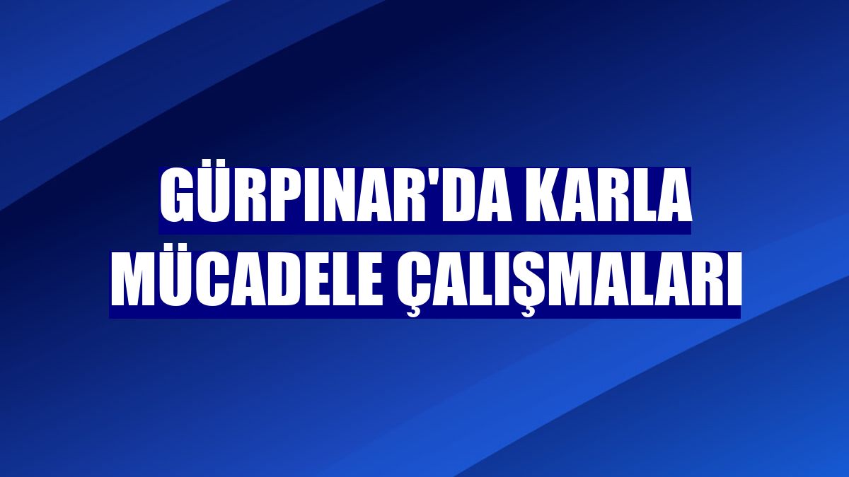 Gürpınar'da karla mücadele çalışmaları