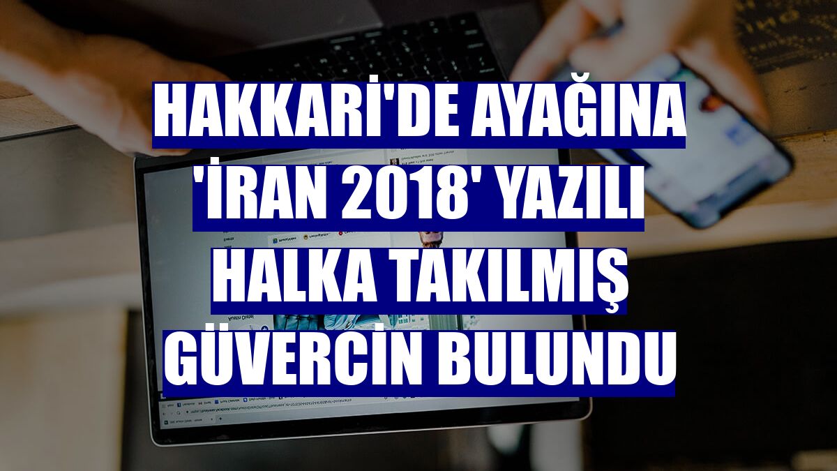 Hakkari'de ayağına 'İran 2018' yazılı halka takılmış güvercin bulundu