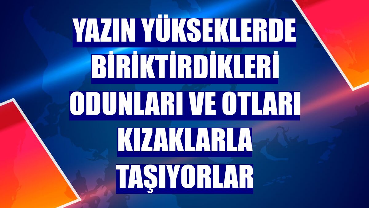 Yazın yükseklerde biriktirdikleri odunları ve otları kızaklarla taşıyorlar