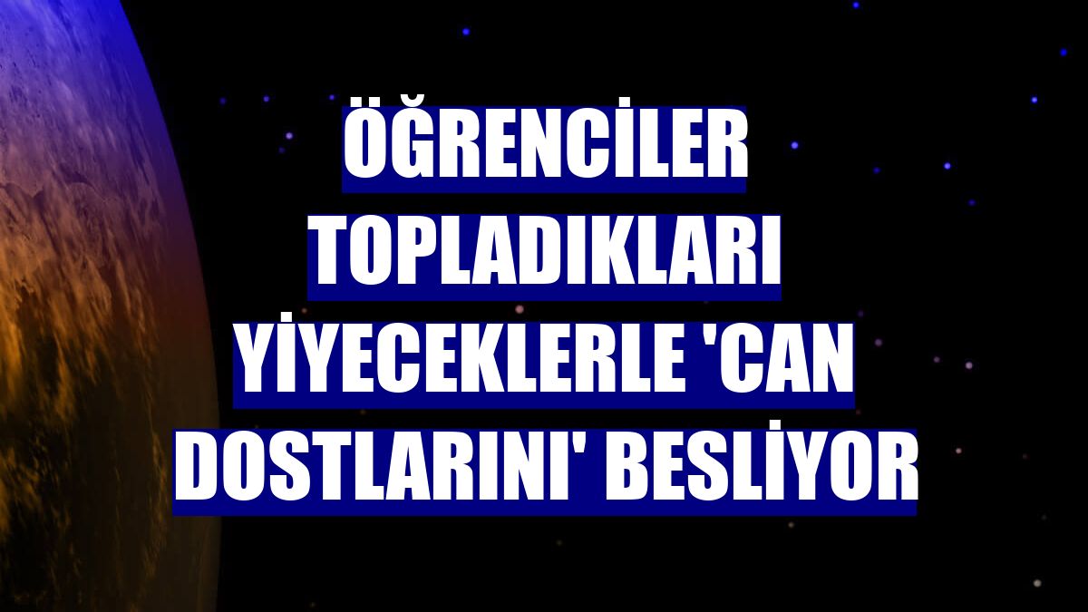 Öğrenciler topladıkları yiyeceklerle 'can dostlarını' besliyor
