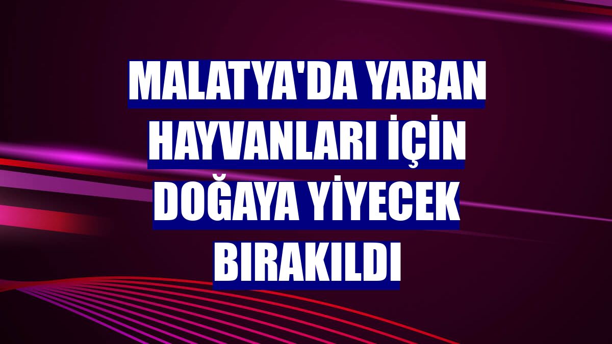 Malatya'da yaban hayvanları için doğaya yiyecek bırakıldı