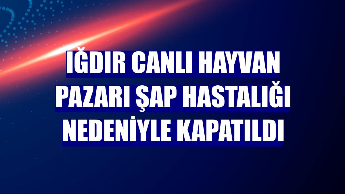 Iğdır Canlı Hayvan Pazarı şap hastalığı nedeniyle kapatıldı