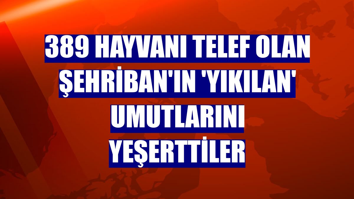 389 hayvanı telef olan Şehriban'ın 'yıkılan' umutlarını yeşerttiler