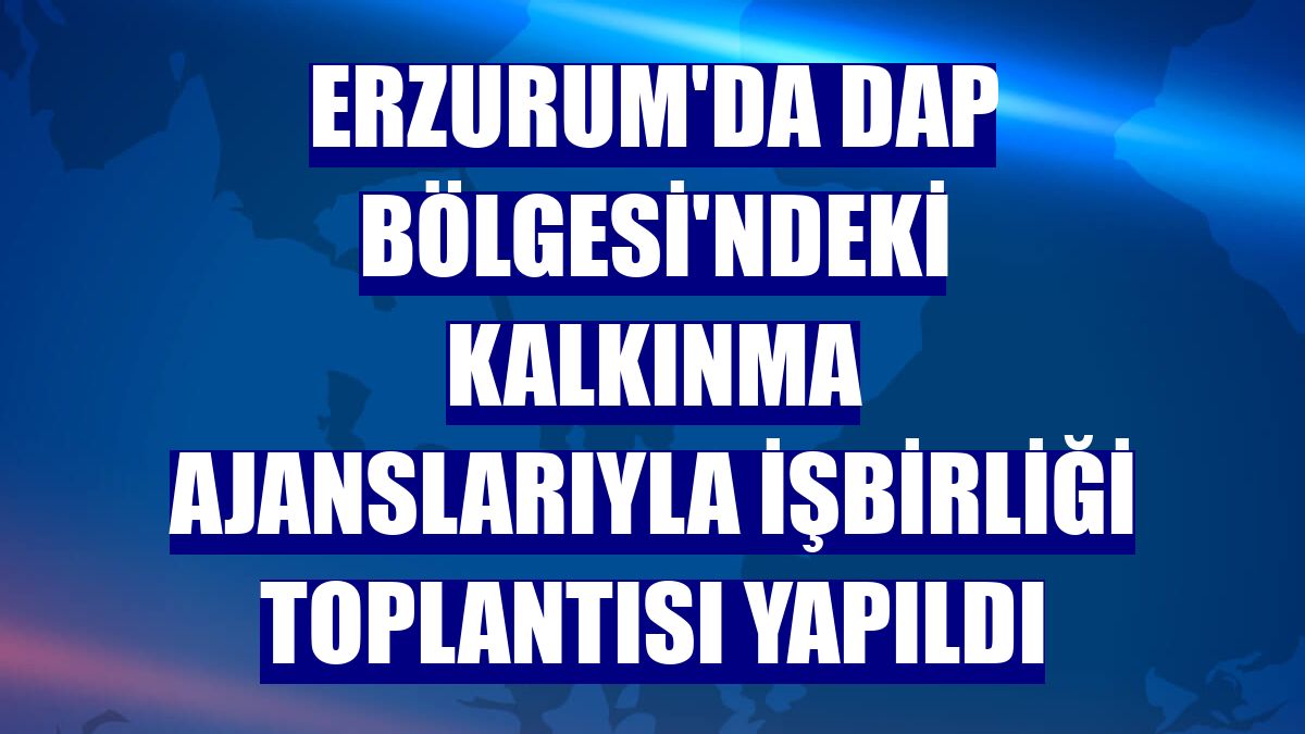 Erzurum'da DAP Bölgesi'ndeki kalkınma ajanslarıyla işbirliği toplantısı yapıldı