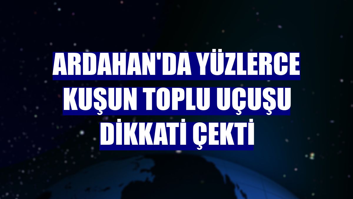 Ardahan'da yüzlerce kuşun toplu uçuşu dikkati çekti