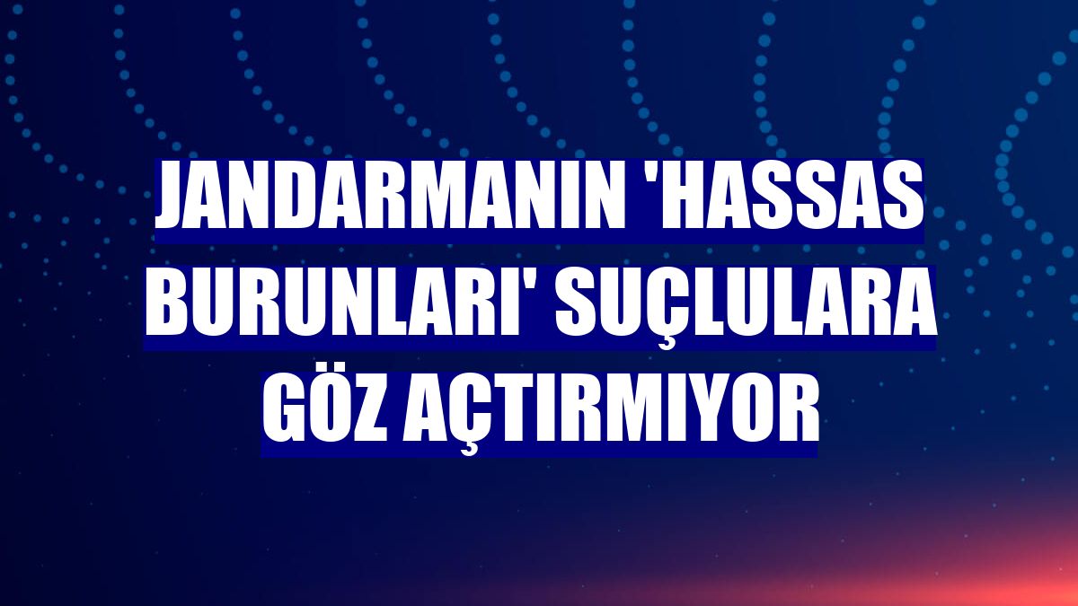 Jandarmanın 'hassas burunları' suçlulara göz açtırmıyor