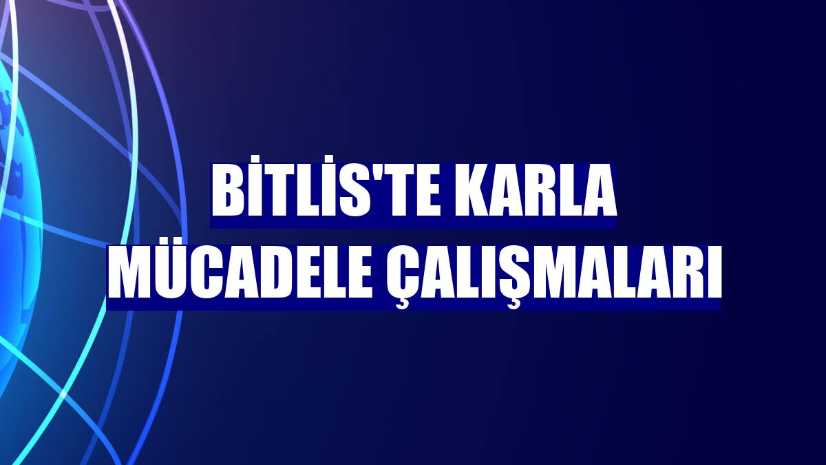 Bitlis'te karla mücadele çalışmaları