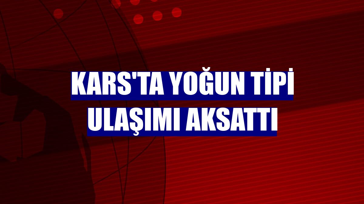 Kars'ta yoğun tipi ulaşımı aksattı