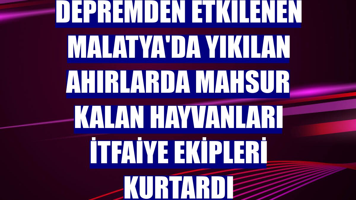 Depremden etkilenen Malatya'da yıkılan ahırlarda mahsur kalan hayvanları itfaiye ekipleri kurtardı