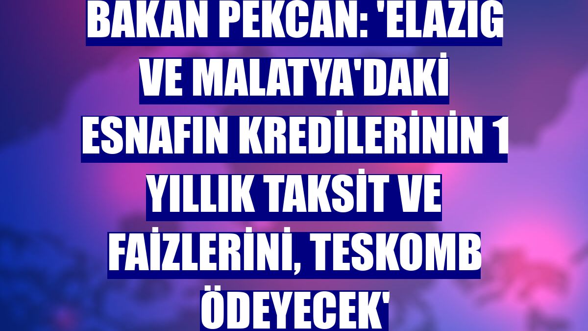 Bakan Pekcan: 'Elazığ ve Malatya'daki esnafın kredilerinin 1 yıllık taksit ve faizlerini, TESKOMB ödeyecek'
