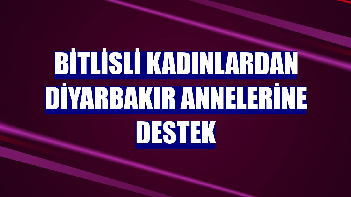 Bitlisli kadınlardan Diyarbakır annelerine destek