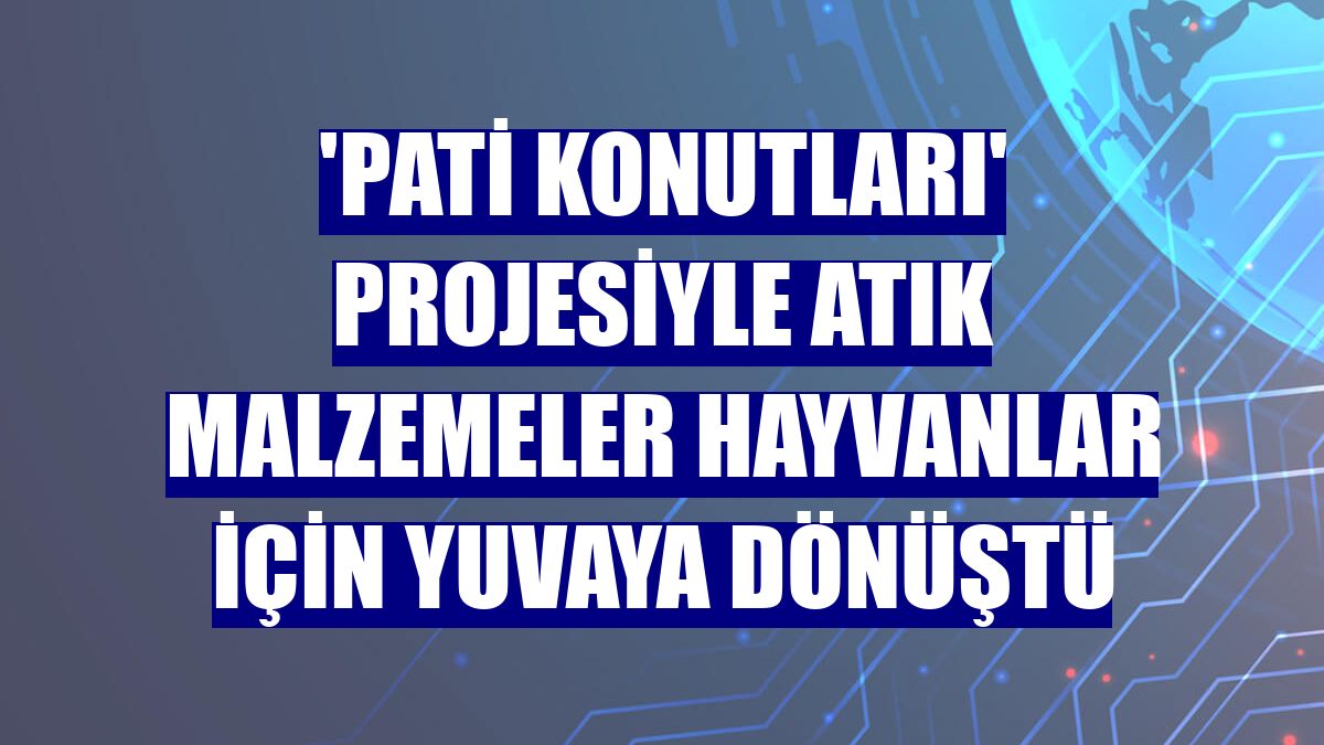 'Pati Konutları' projesiyle atık malzemeler hayvanlar için yuvaya dönüştü