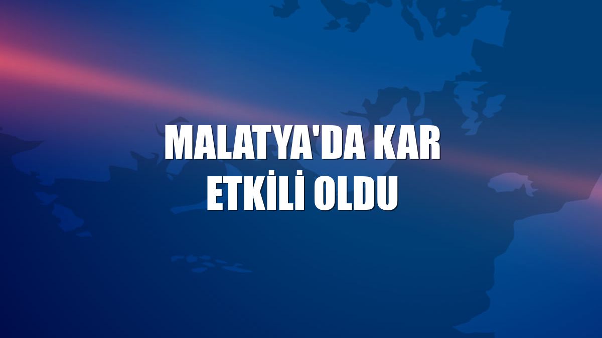Malatya'da kar etkili oldu