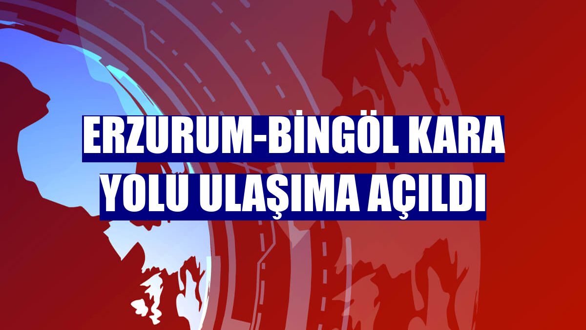 Erzurum-Bingöl kara yolu ulaşıma açıldı