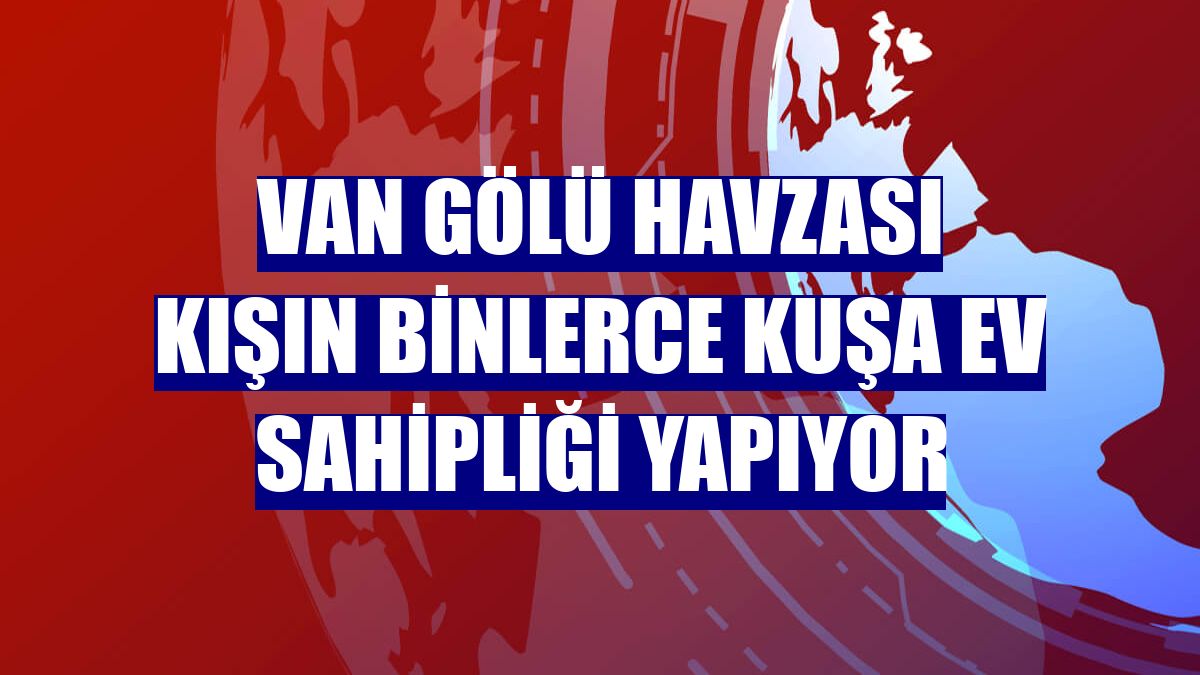 Van Gölü havzası kışın binlerce kuşa ev sahipliği yapıyor