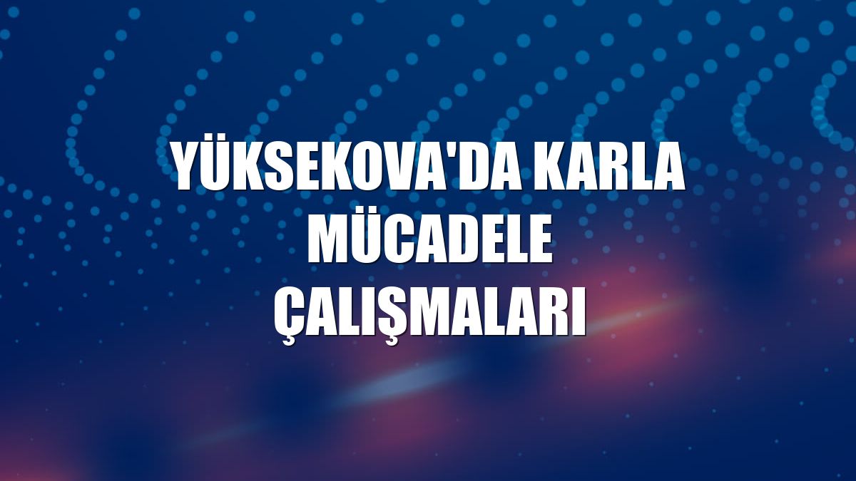 Yüksekova'da karla mücadele çalışmaları