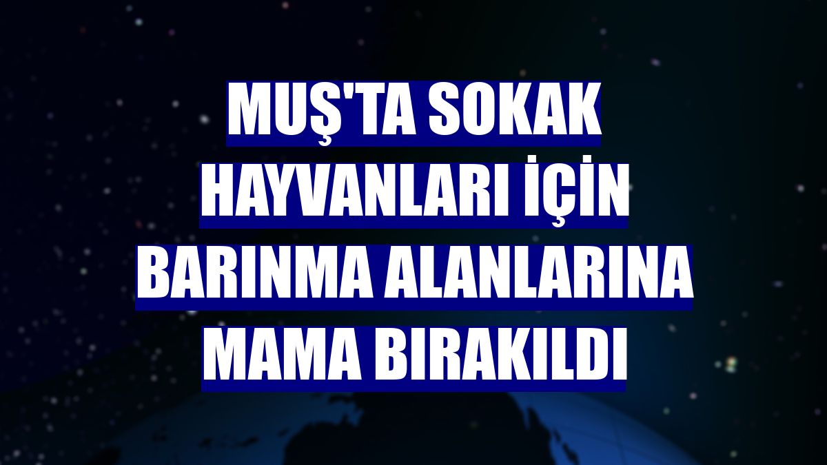 Muş'ta sokak hayvanları için barınma alanlarına mama bırakıldı