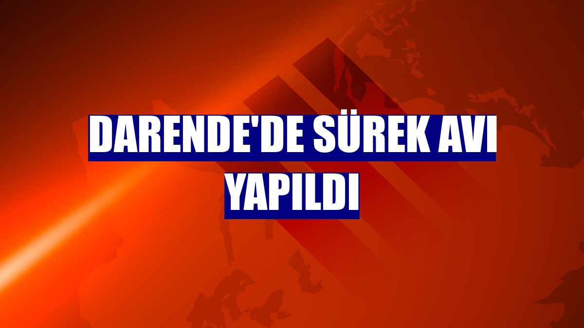 Darende'de sürek avı yapıldı