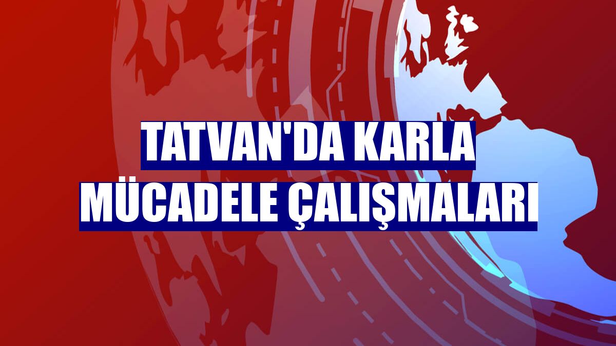 Tatvan'da karla mücadele çalışmaları