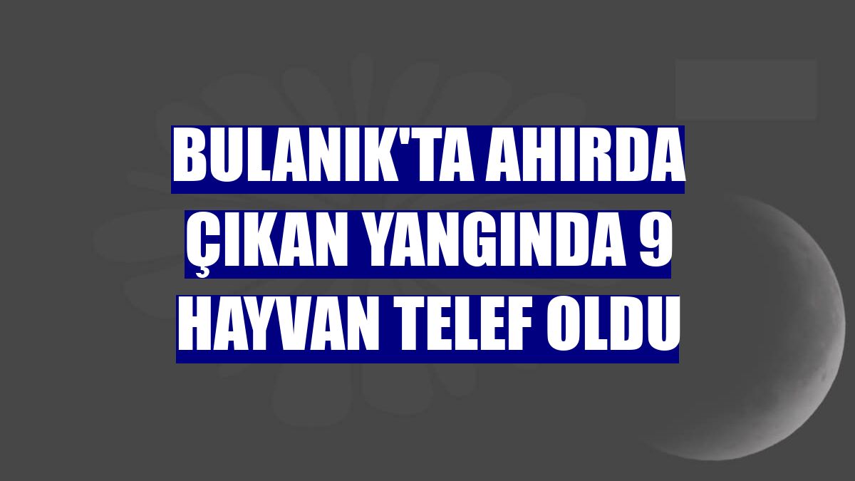 Bulanık'ta ahırda çıkan yangında 9 hayvan telef oldu