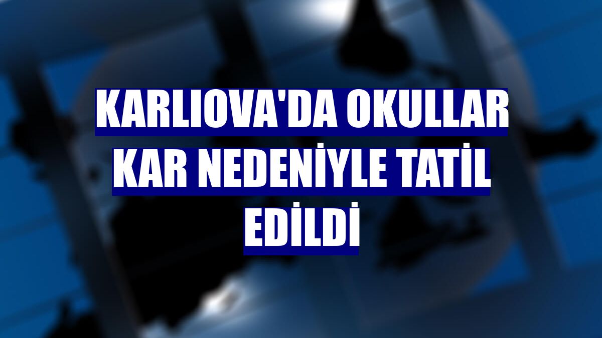 Karlıova'da okullar kar nedeniyle tatil edildi