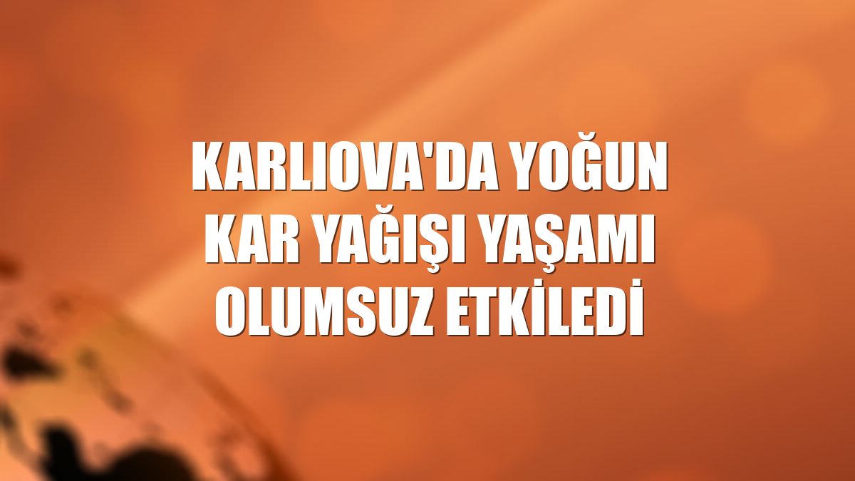 Karlıova'da yoğun kar yağışı yaşamı olumsuz etkiledi