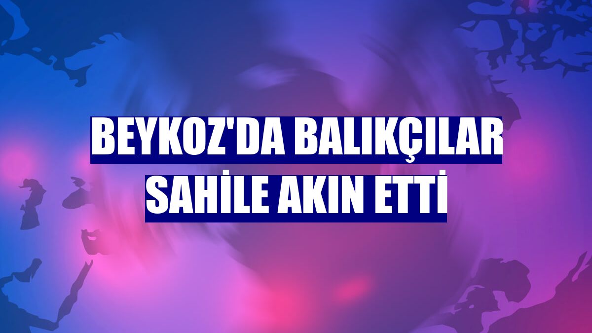 Beykoz'da balıkçılar sahile akın etti