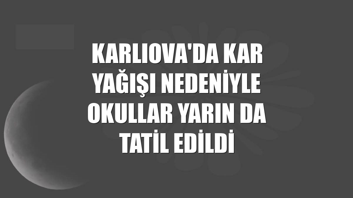 Karlıova'da kar yağışı nedeniyle okullar yarın da tatil edildi