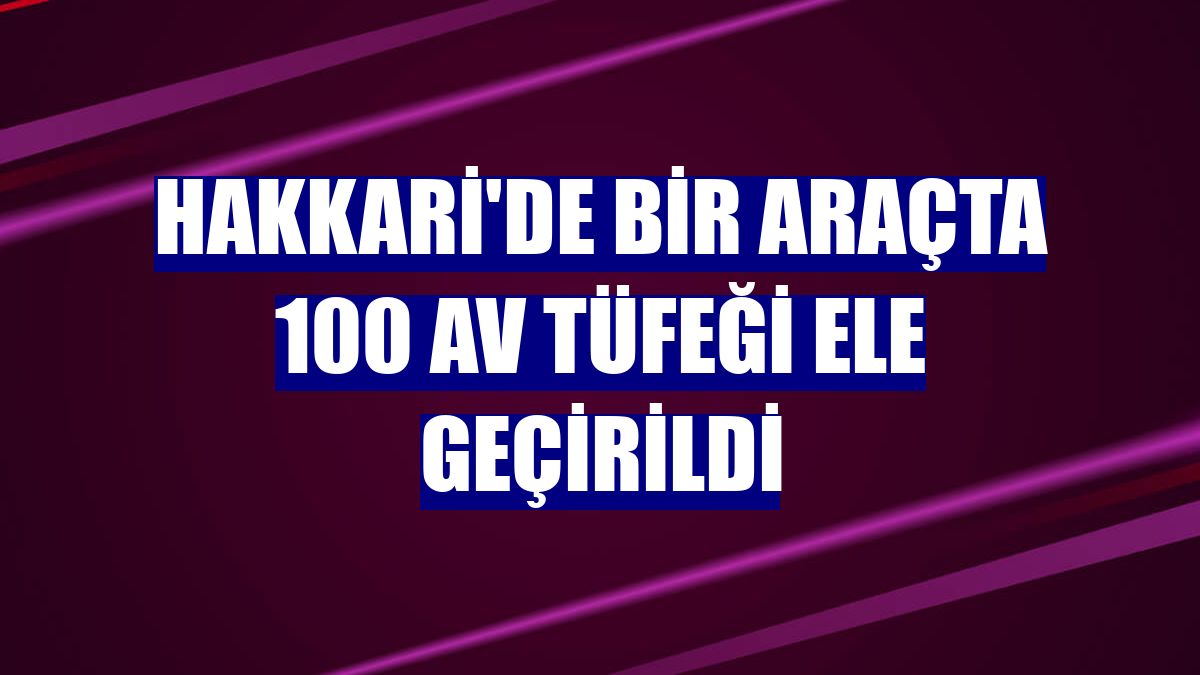 Hakkari'de bir araçta 100 av tüfeği ele geçirildi
