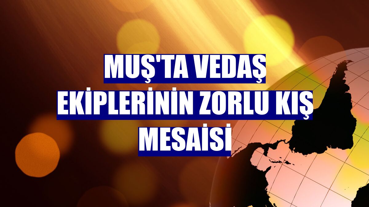 Muş'ta VEDAŞ ekiplerinin zorlu kış mesaisi