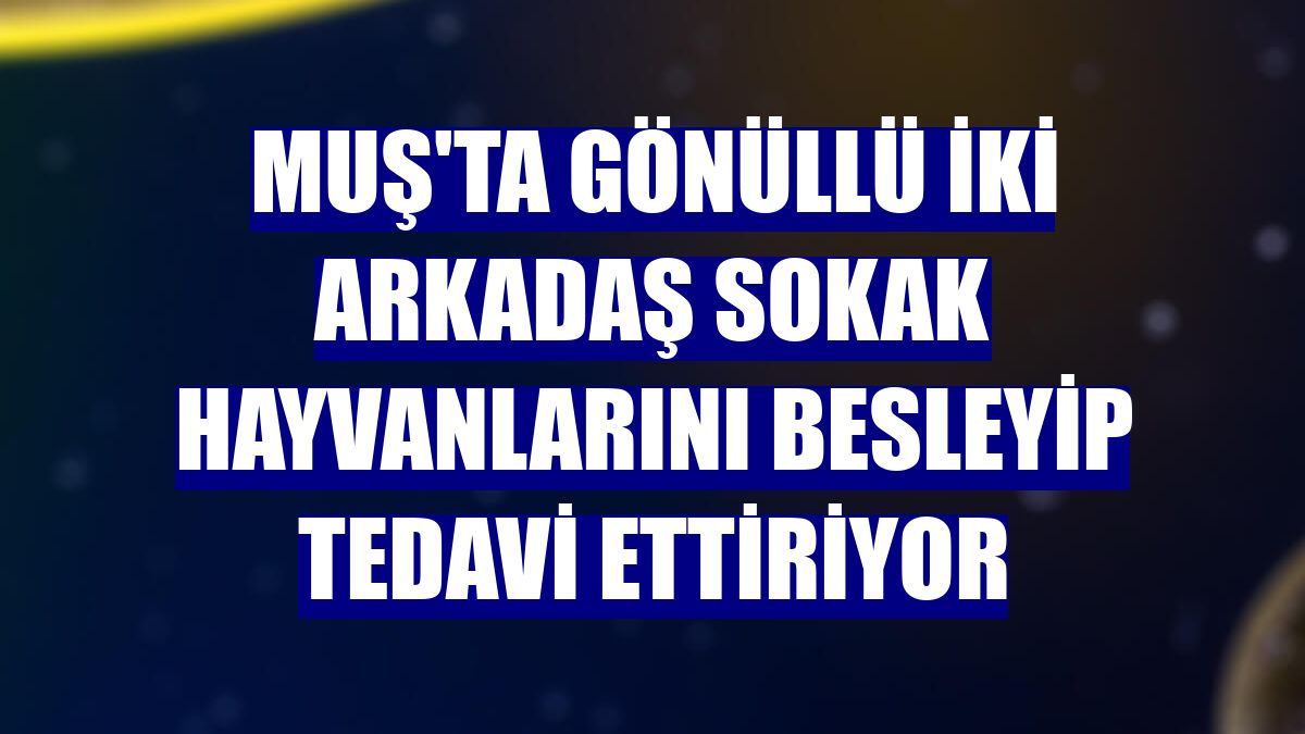 Muş'ta gönüllü iki arkadaş sokak hayvanlarını besleyip tedavi ettiriyor